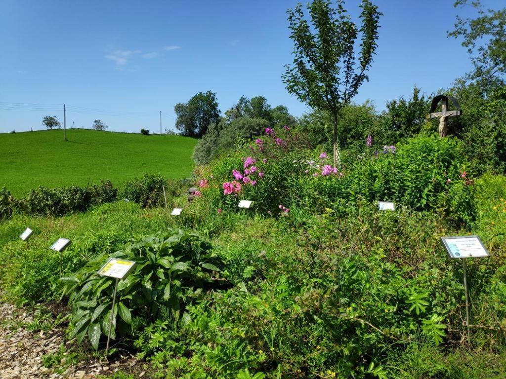 Ferienwohnung Allgaeuglueck Im Ferienpark Oberallgaeu Mit Hallenbad, Sauna, Wlan Missen Wilhams Bagian luar foto